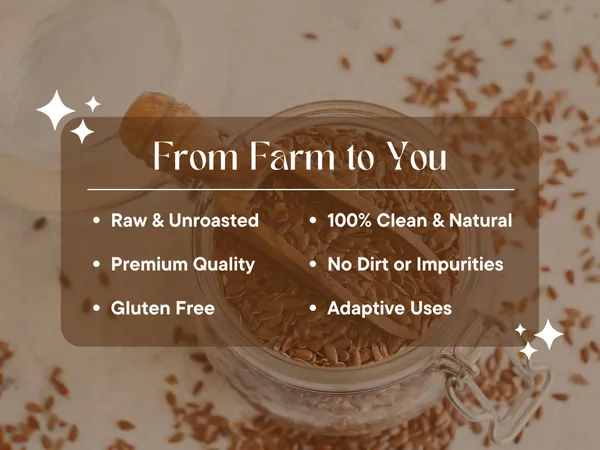 Tanyatrapt_Raw_Flax_Seeds,_Omega_3_Fatty_Acid_Rich,_Healthy_Super_Seed,_Immunity_Booster_Brown_Flax_Seeds
