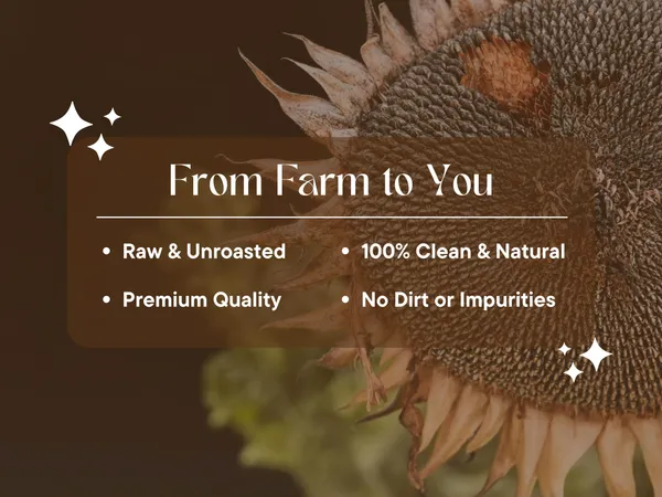 Tanyatrapt_Sunflower_Seeds_|_Power_Packed_Edible_Seeds_|_Rich_in_Protein_&_Fiber_Sunflower_Seeds_(300_g)