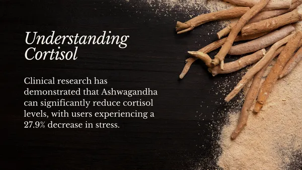 Ashwagandha_Capsule_|_Rejuvenate_Mind_&_Body_|_For_Stress_|_Each_Capsule_500_Mg