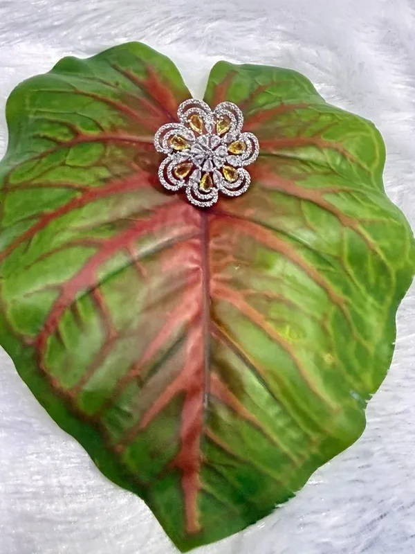 ZOVYA_Brass_Cubic_Zirconia,_Crystal_Silver_Plated_Ring_()