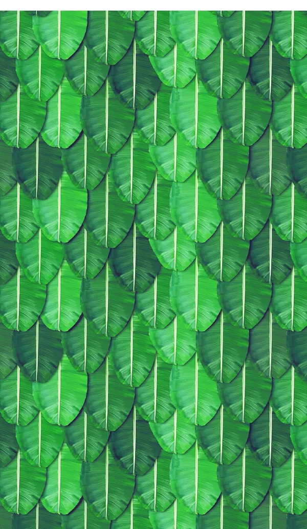 Multicolour_Polyester_Wedding_Backdrop_Banana_Leaf_All_Festivals_Cloth_For_Festival_/_Pooja_|_8*5