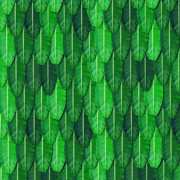 Multicolour_Polyester_Wedding_Backdrop_Banana_Leaf_All_Festivals_Cloth_For_Festival_/_Pooja_|_8*8