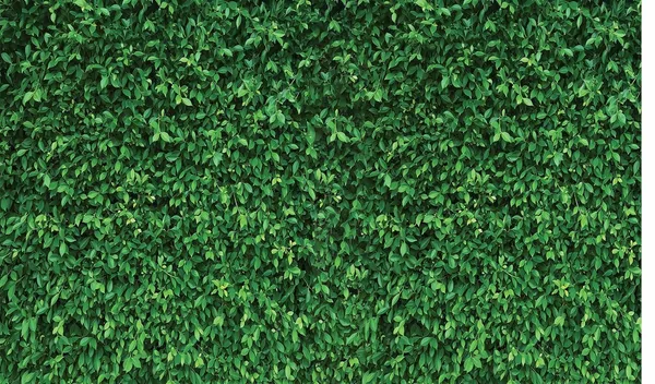 Green_Polyester_Leave_Photography_Backdrops_Nature_Backdrop_Cloth_For_Festival_/_Pooja_|_5*8