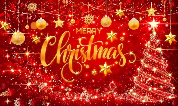 Red_Polyester_Merry_Christmas_Backdrop_Glitter_Bokeh_Cloth_For_Festival_/_Pooja_|_5*8