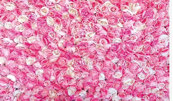 Pink_Polyester_Rose_Flowers_Wall_Backdrop_Cloth_For_Festival_/_Pooja_|_5*8