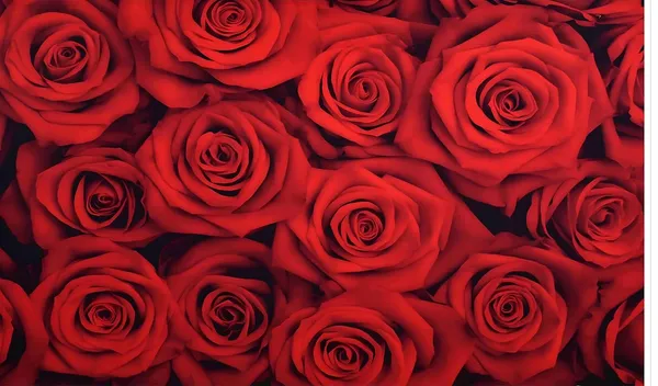 Red_Polyester_Rose_Backdrop_Flowers_Wall_Cloth_For_Festival_/_Pooja_|_5*8
