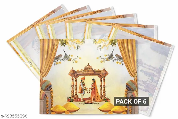 PACK_OF_6_|__Premium_Saree_Covers