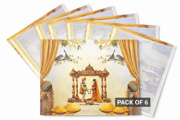 PACK_OF_6_|__Premium_Saree_Covers