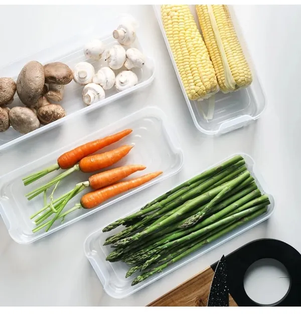 2_Layer_Interlocking_Fridge_Container