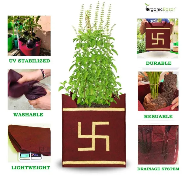 Tulsi_Plant_Grow_Bag_for_Home/Gardening