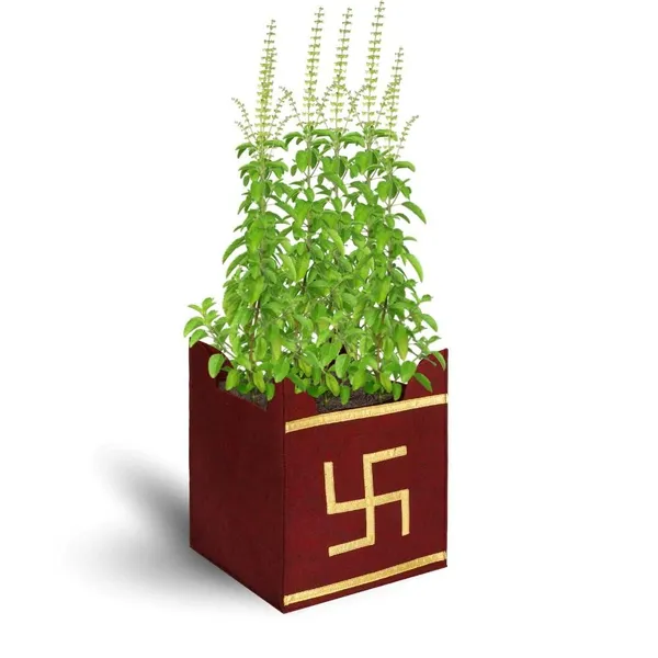 Tulsi_Plant_Grow_Bag_for_Home/Gardening