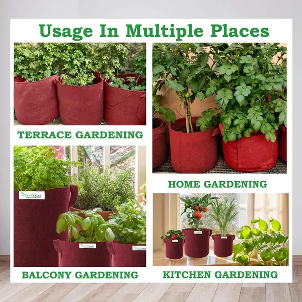 Tulsi_Plant_Grow_Bag_for_Home/Gardening