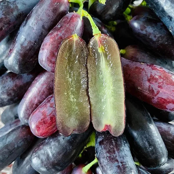 Sweet_Sapphire_Grape_Seeds_|_Limited_Stock_|_Order_Now