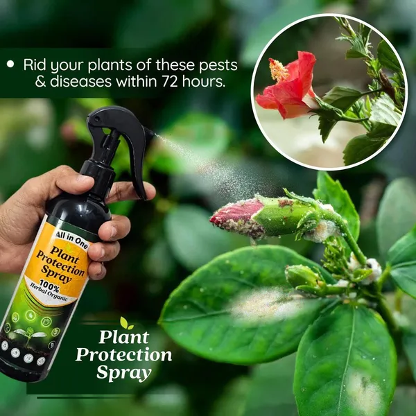 LeafGuard™_-_All_in_One_Plant_Protection_Spray_🌿🛡️(Buy_1_Get_1_Free🔥🔥)