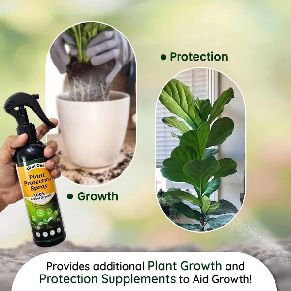 LeafGuard™_-_All_in_One_Plant_Protection_Spray_🌿🛡️(Buy_1_Get_1_Free🔥🔥)