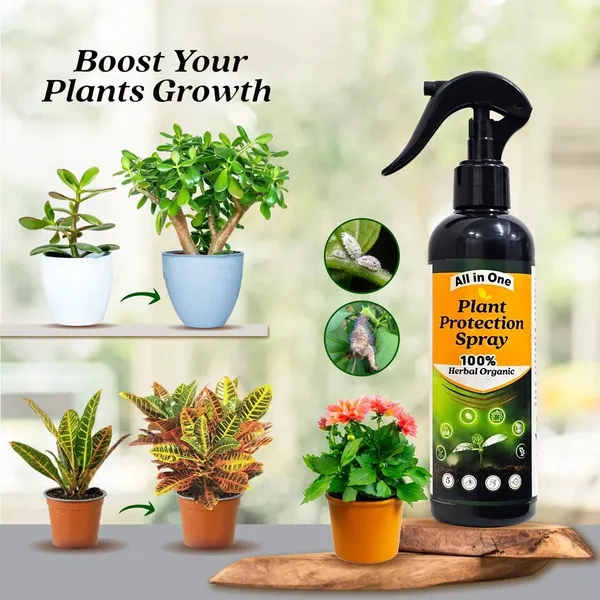 LeafGuard™_-_All_in_One_Plant_Protection_Spray_🌿🛡️(Buy_1_Get_1_Free🔥🔥)