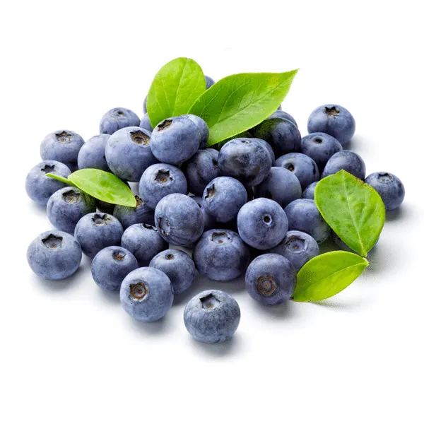 Giant_Blueberry_Fruit_Seeds_|_🫐_Flat_50%_Saving🫐
