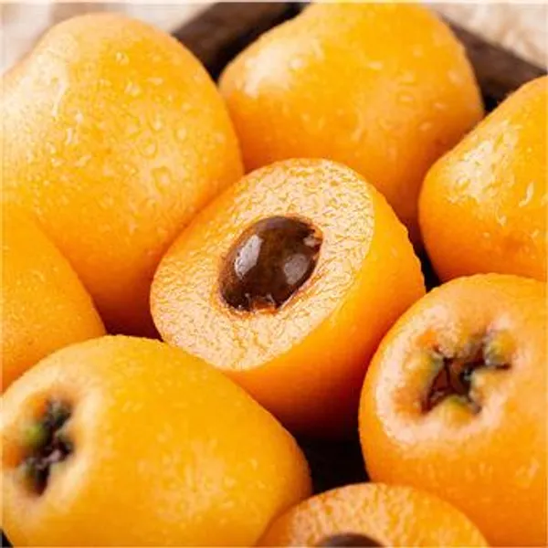 Five-star_Loquat_Seeds_|_🍑Flat_50%_Saving🍑