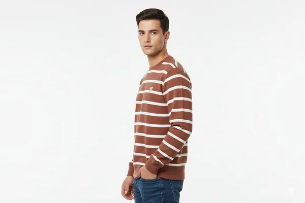 Multicolor_Premium_Cotton_T-Shirt_For_Men_(Pack_Of_2)