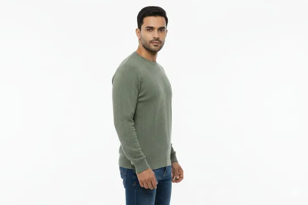 Multicolor_Premium_Cotton_T-Shirt_For_Men_(Pack_Of_2)