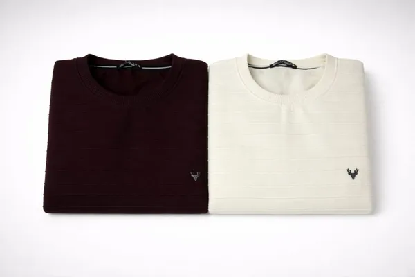 Multicolor_Premium_Cotton_T-Shirt_For_Men_(Pack_Of_2)