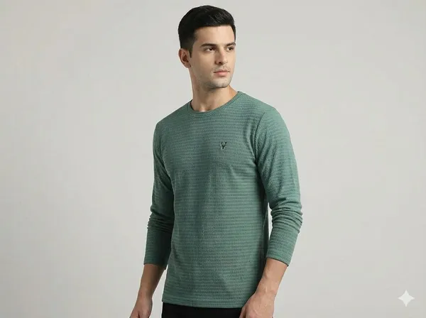 Multicolor_Premium_Cotton_T-Shirt_For_Men_(Pack_Of_2)