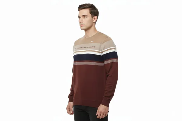 Multicolor_Premium_Cotton_T-Shirt_For_Men_(Pack_Of_2)