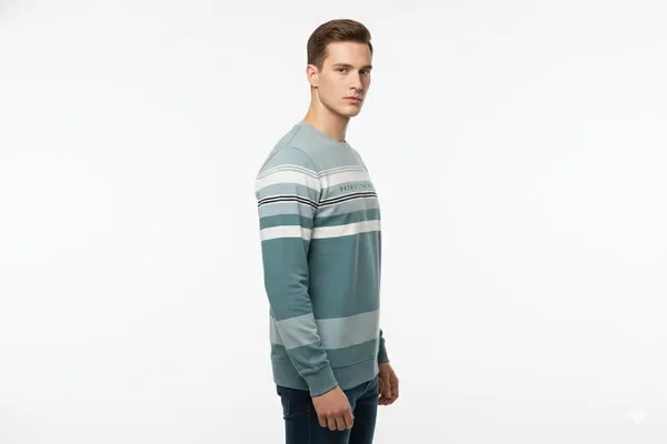 Multicolor_Premium_Cotton_T-Shirt_For_Men_(Pack_Of_2)