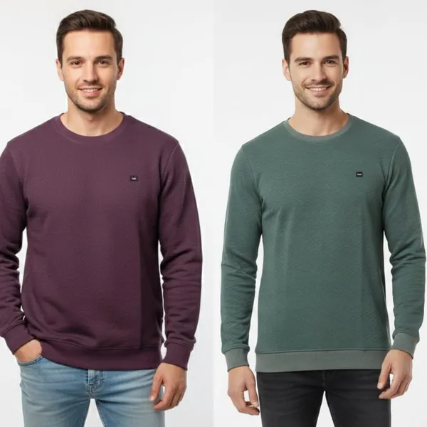 Multicolor_Premium_Cotton_T-Shirt_For_Men_(Pack_Of_2)