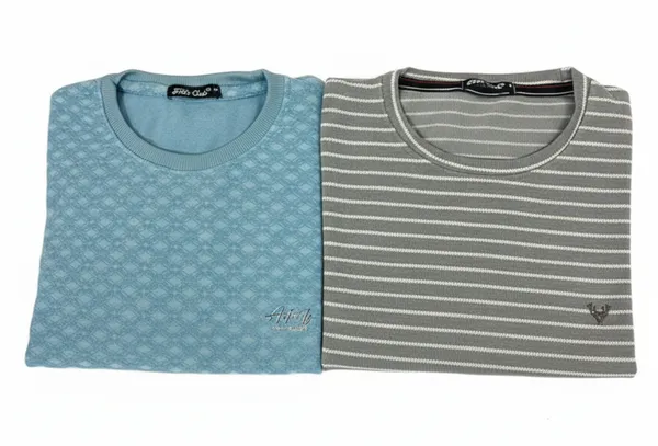 Multicolor_Premium_Cotton_T-Shirt_For_Men_(Pack_Of_2)