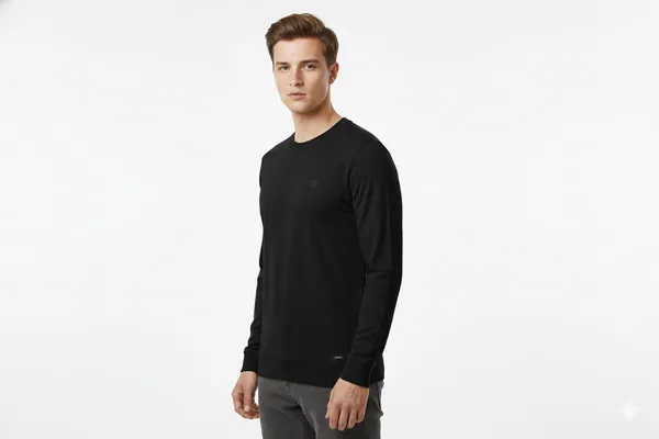 Multicolor_Premium_Cotton_T-Shirt_For_Men_(Pack_Of_2)
