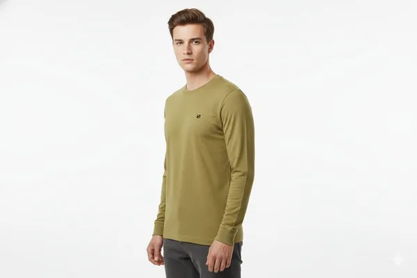 Multicolor_Premium_Cotton_T-Shirt_For_Men_(Pack_Of_2)