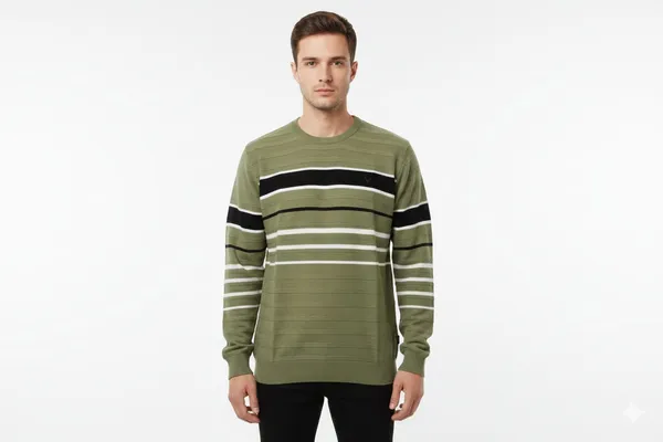 Multicolor_Premium_Cotton_T-Shirt_For_Men_(Pack_Of_2)
