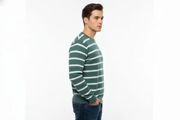 Multicolor_Premium_Cotton_T-Shirt_For_Men_(Pack_Of_2)