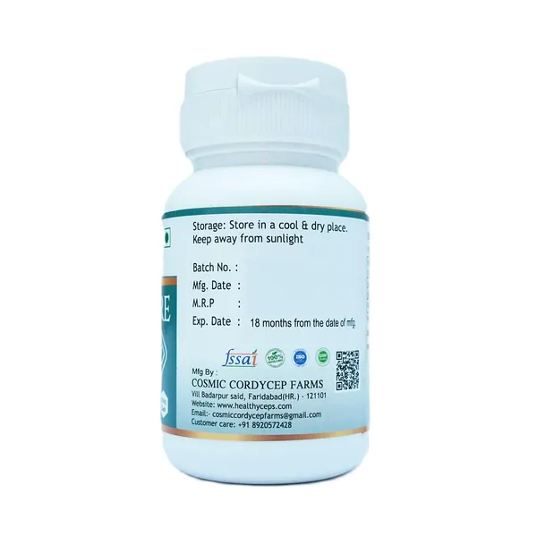 Healthyceps_Insulin_Care_Capsule_Blood_Sugar_Oxidative_Stress_Liver
