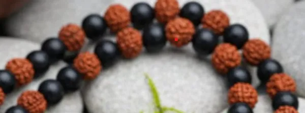 Karungali_and_Rudraksha_Silver_Mala_with_Bracelet_-_Combo_-_For_Unisex