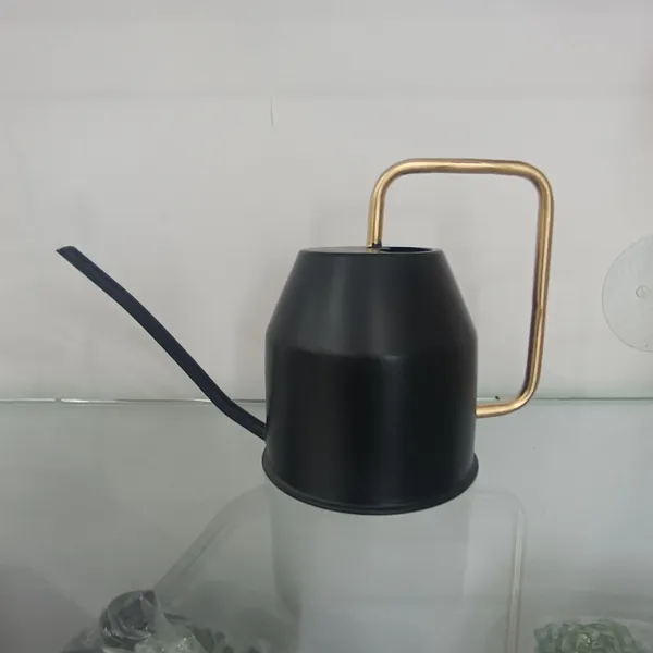 Metal_Water_Cane__Black