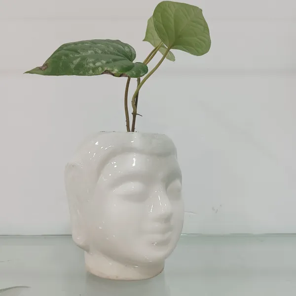 Buddha_Head_Ceramic_Planter