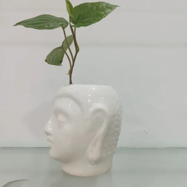 Buddha_Head_Ceramic_Planter