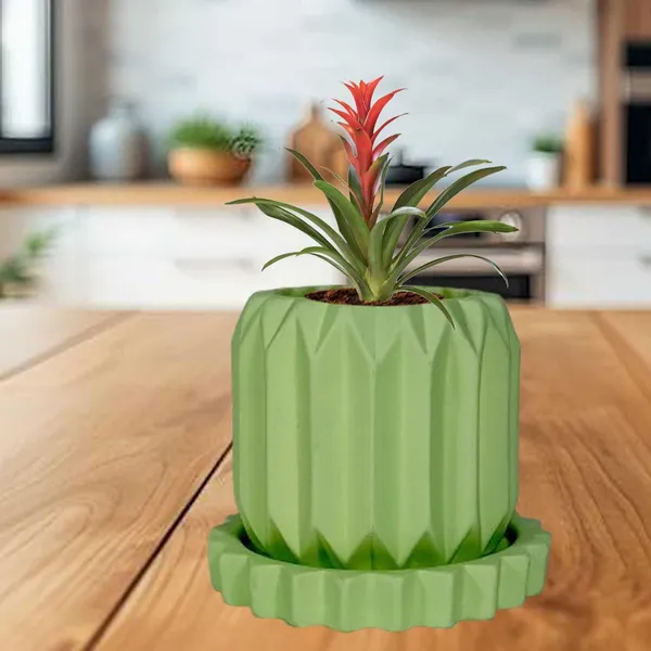 Procelain_Bloom__ceremic_planter