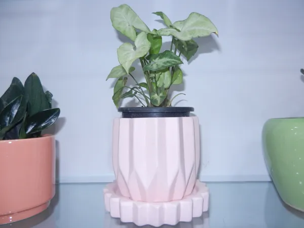 Procelain_Bloom__ceremic_planter