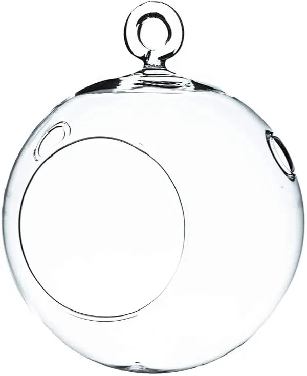 Transparent_Glass_Hanging_Ball_planter_For_Home_Decoration