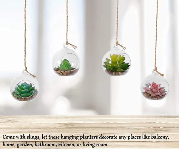 Transparent_Glass_Hanging_Ball_planter_For_Home_Decoration