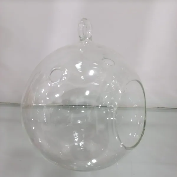 Transparent_Glass_Hanging_Ball_planter_For_Home_Decoration