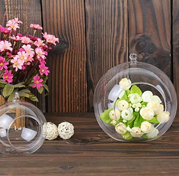 Transparent_Glass_Hanging_Ball_planter_For_Home_Decoration