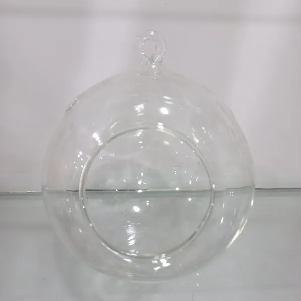 Transparent_Glass_Hanging_Ball_planter_For_Home_Decoration