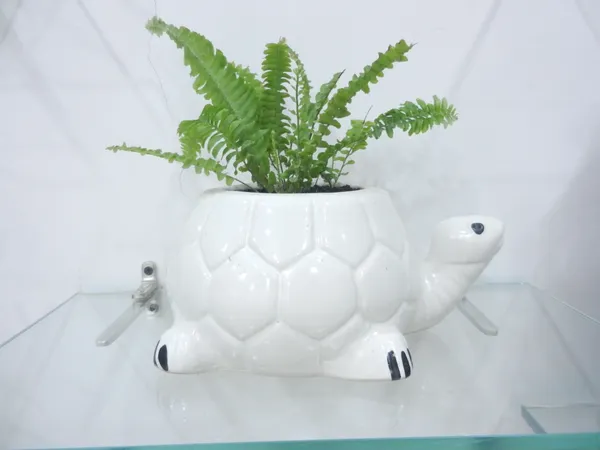 Kurma_Shanta_tortoise_ceremic_planter_white