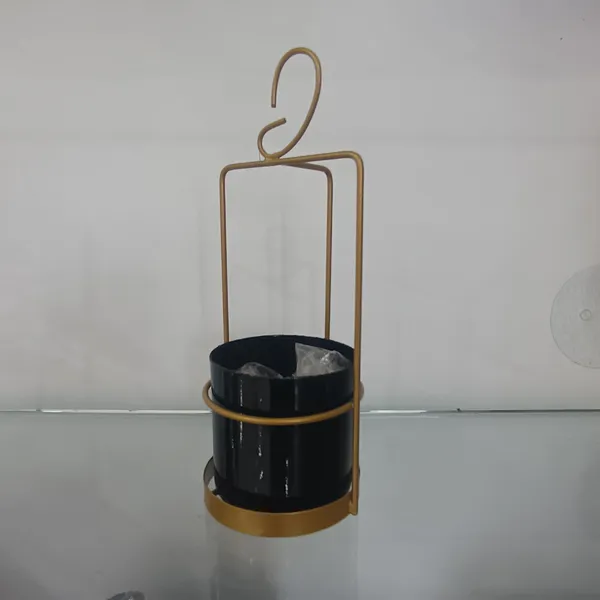 Metal_Cage_Planter_Black