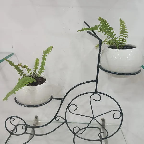 Fern_Planters_On_Cycle_Frame