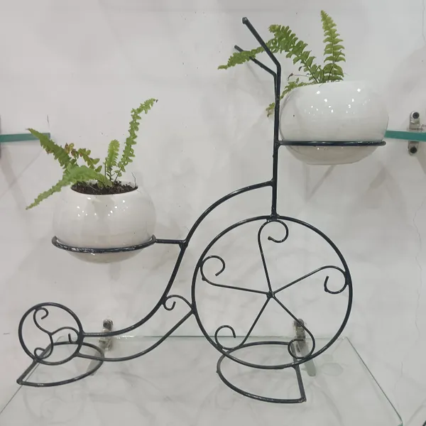 Fern_Planters_On_Cycle_Frame